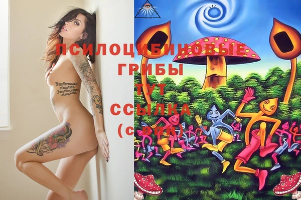 экстази Абинск