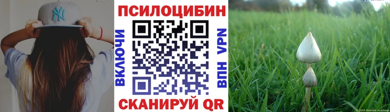 Псилоцибиновые грибы Psilocybine cubensis  Осташков 